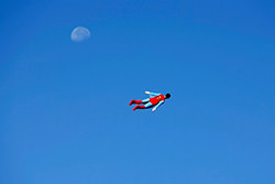 Tales of the Unexpected